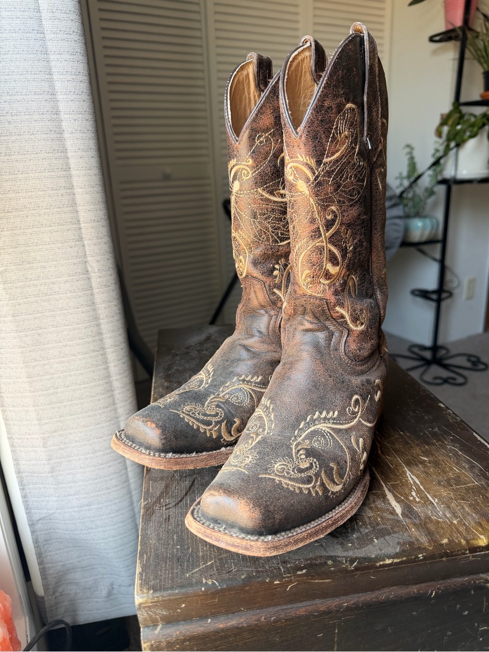 Circle G Women’s Embroidered Boots